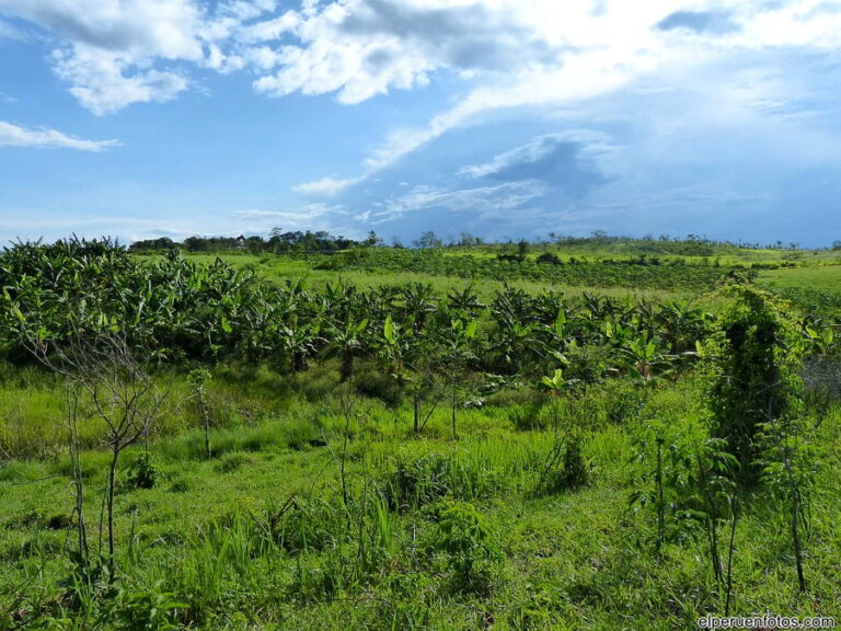 bello horizonte 005